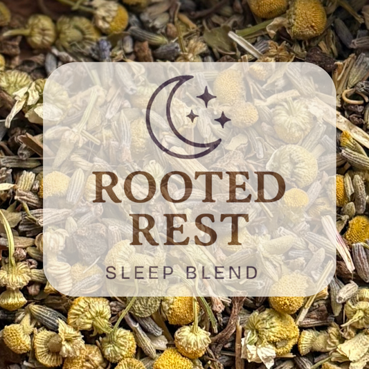 Rooted Rest - Sleep Blend